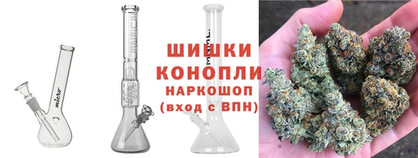 прущая мука Арсеньев
