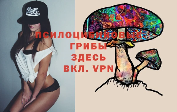 прущая мука Арсеньев