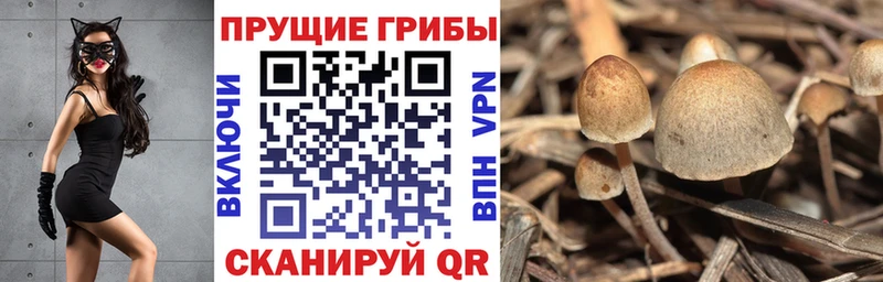 Купить  Грязи  Псилоцибиновые грибы мухоморы 
